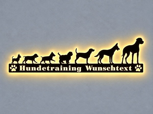 Wandbild beleuchtet Hundetraining LED