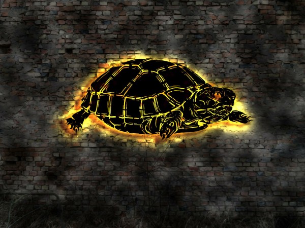 Schildkröte 3D- Effekt Wandbild mit LED Licht