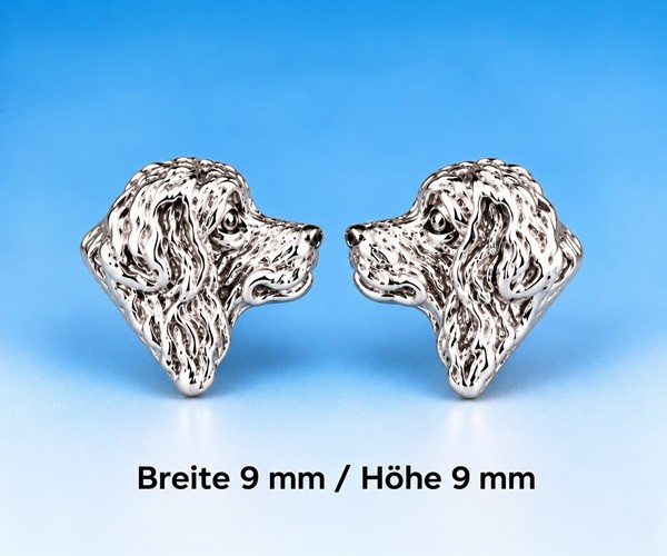 Berner-Sennenhund Ohrstecker Silber