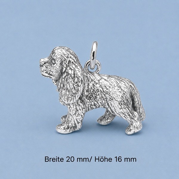 Cavalier King Charles Spaniel Silber_940