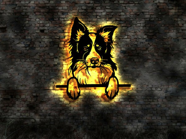 Border Collie 3D-Effekt Wandbild aus Holz mit LED Licht