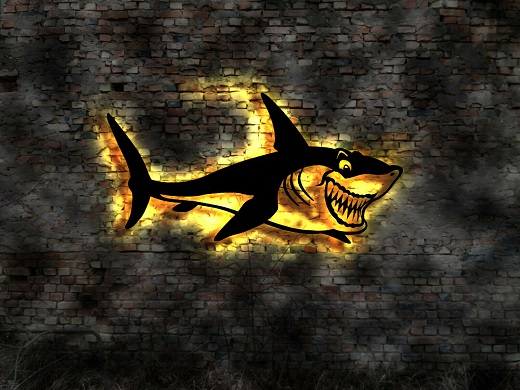 Hai-Fisch_2